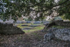 Dharmarajika-by-Amna-Yaseen-1