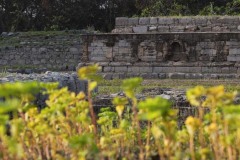 Dharmarajika-by-Amna-Yaseen-6
