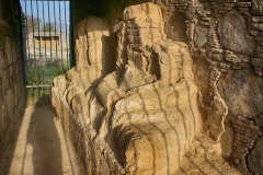 Dharmarajika-by-Amna-Yaseen-9